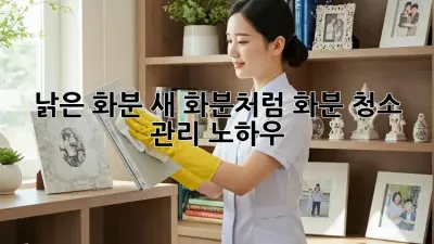 낡은 화분, 새 화분처럼! 화분 청소 & 관리 노하우 ✨